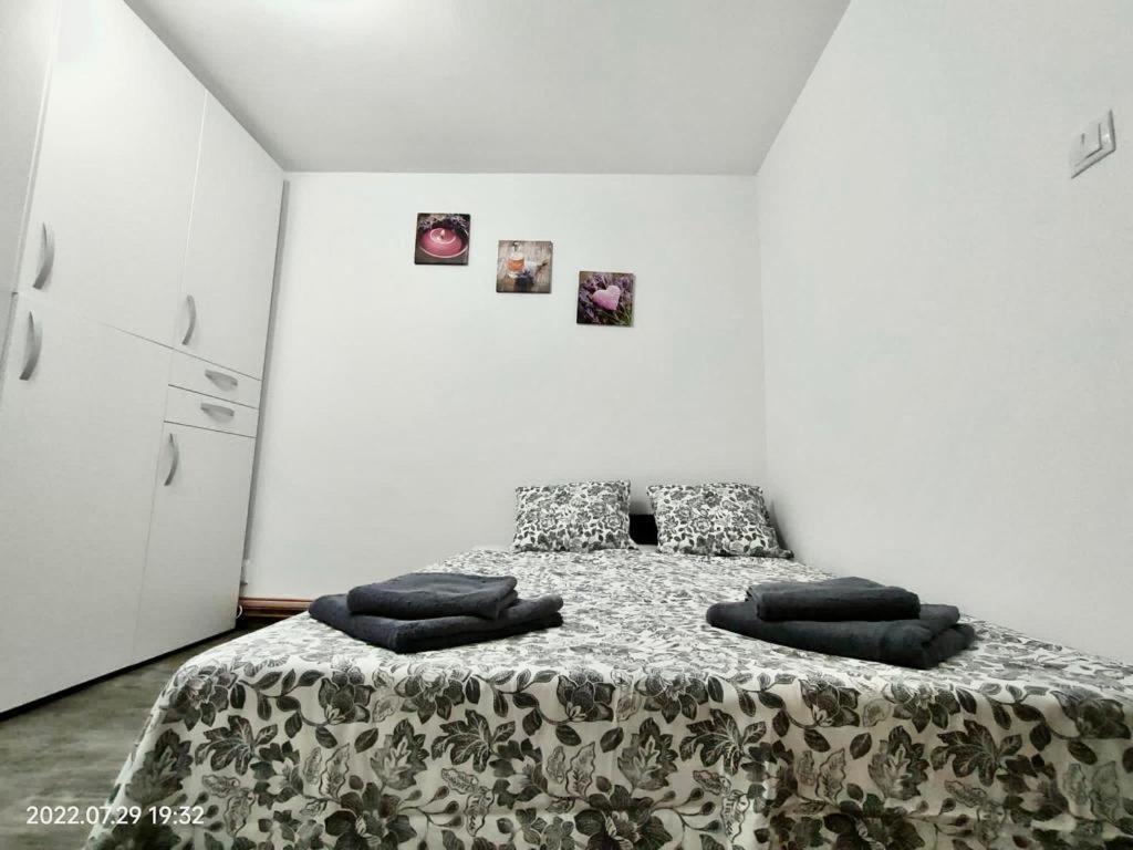 Lavanda Studio Brasov Ngoại thất bức ảnh