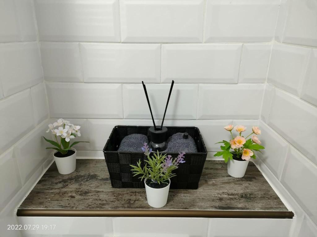 Lavanda Studio Brasov Ngoại thất bức ảnh