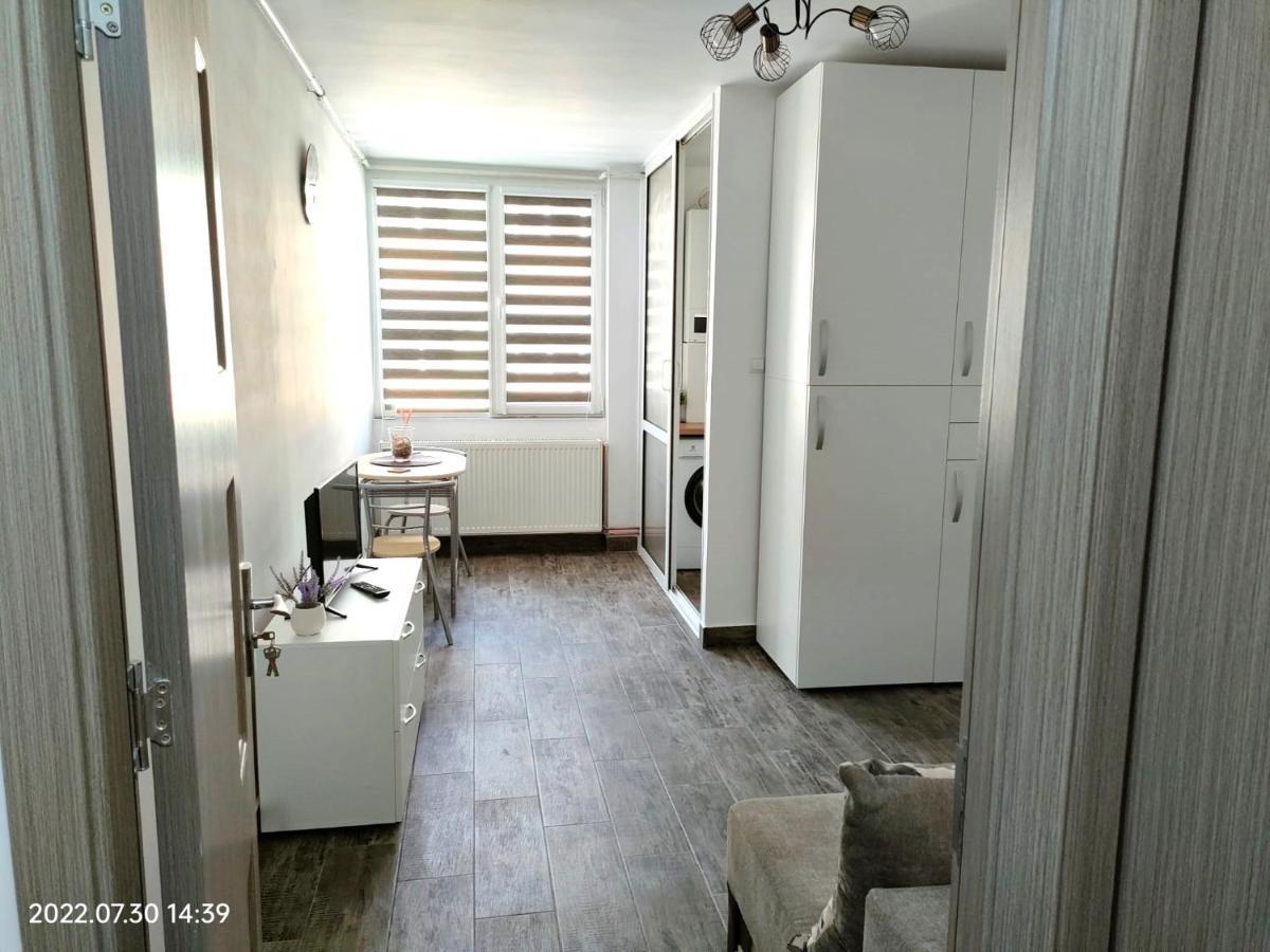Lavanda Studio Brasov Ngoại thất bức ảnh
